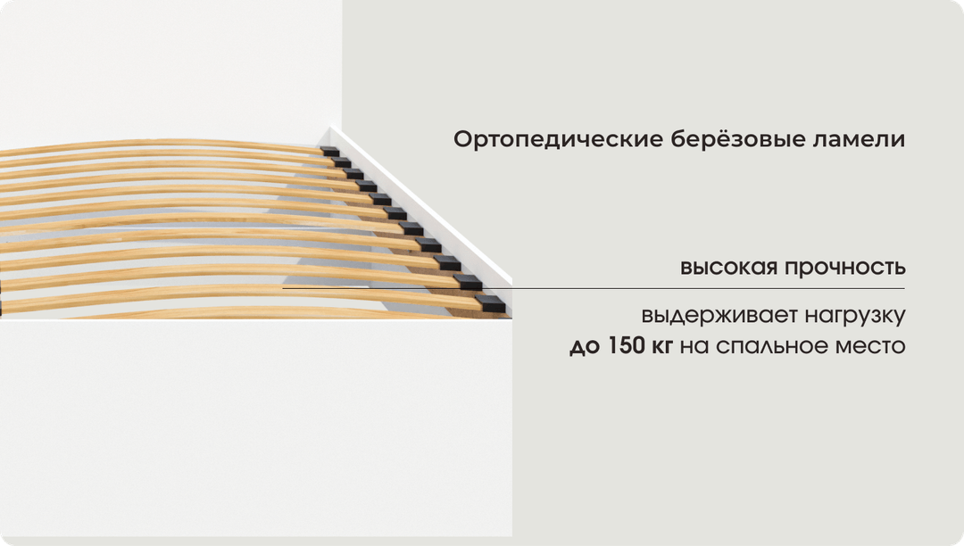 Ортопедическое основание