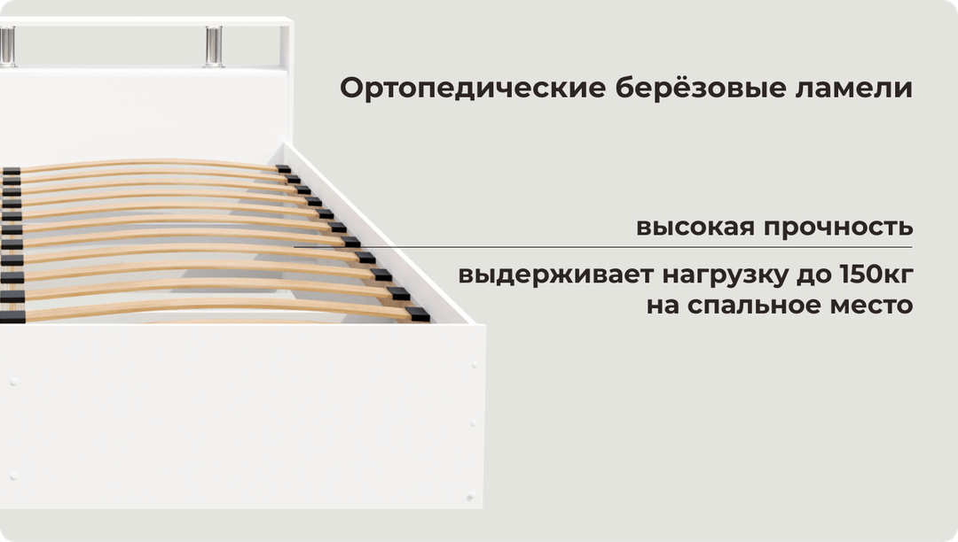 Ортопедическое основание